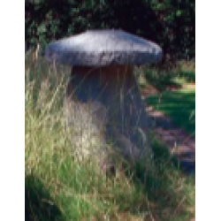 Large Staddle